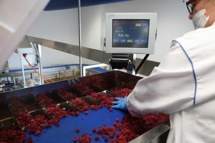 Premium cakes benefit from ISHIDA weighing and inspection technology